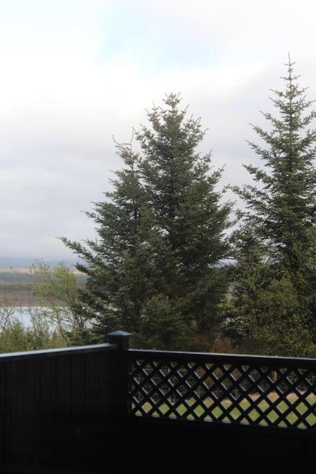 Quiet And Cozy Apartment With A Lake View Reykjavik Exterior photo